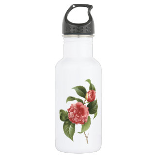 common camellia(Camellia japonica) by Redouté Stainless Steel Water Bottle