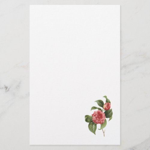 common camelliaCamellia japonica by Redout Stationery