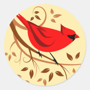 Common Cardinal Bird Classic Round Sticker