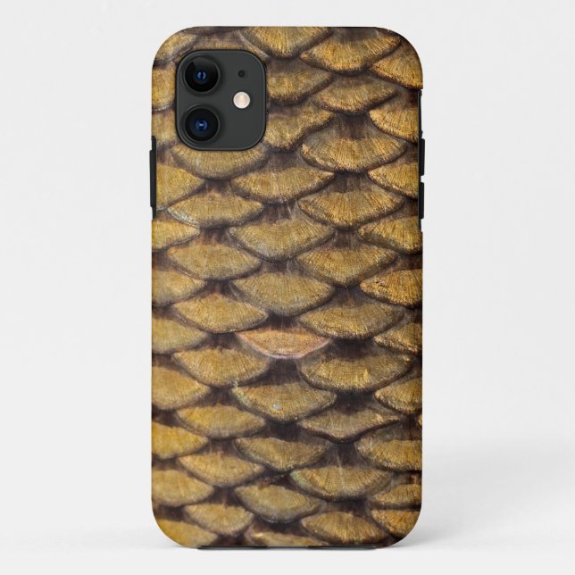 Common Carp - iPhone4 Case (Back)