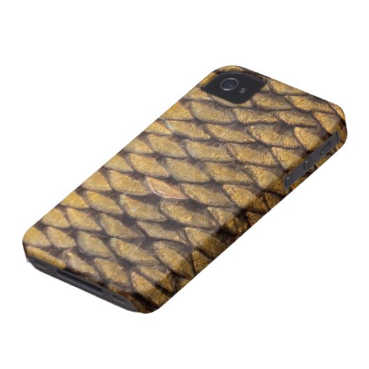 Common Carp - iPhone4 Case (Bottom)