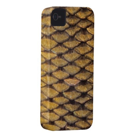 Common Carp - iPhone4 Case (Back/Right)