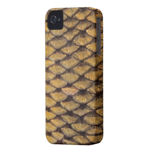 Common Carp - iPhone4 Case (Back Left)
