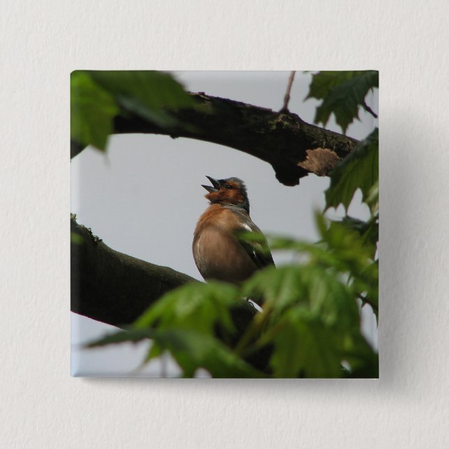 Common Chaffinch Button (Front)