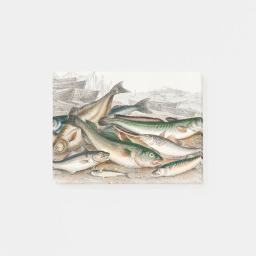 Common Cod Haddock Whiting Coal Fish Ling Post_it Notes