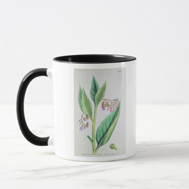 Common Comfrey, plate MCXVI, c.1800 Mug (Left)