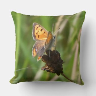 Common Copper Butterfly on Flower Bud Throw Pillow