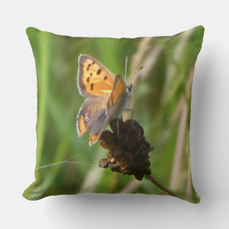 Common Copper Butterfly on Flower Bud Throw Pillow
