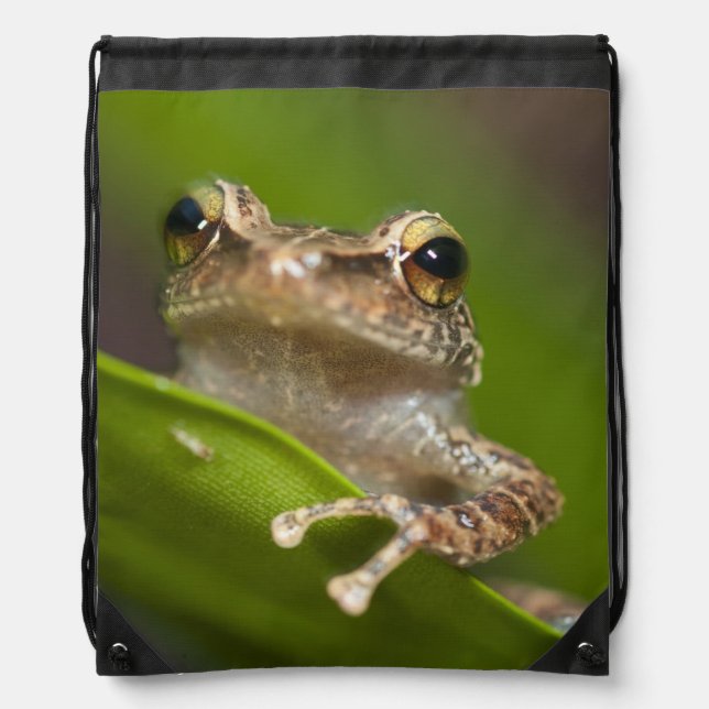 Common coqui, Eleutherodactylus coqui Drawstring Bag (Front)