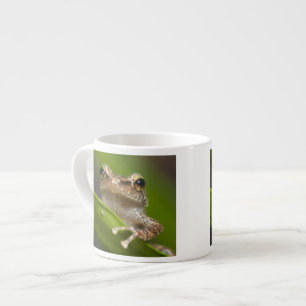 Common coqui, Eleutherodactylus coqui Espresso Cup