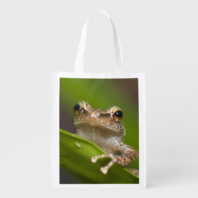 Common coqui, Eleutherodactylus coqui Reusable Grocery Bag (Front)