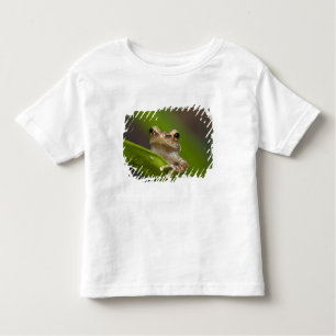 Common coqui, Eleutherodactylus coqui Toddler T-shirt