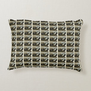 Common Cormorant - from Audubon's Birds of America Accent Pillow