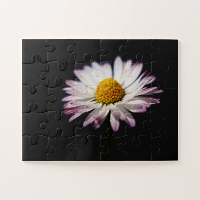 Common Daisy 11x14 30pc jpa Jigsaw Puzzle (Horizontal)