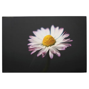 Common Daisy 36x24 (90x60cm) wamecnm Metal Print