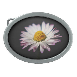 Common Daisy bbcnm Belt Buckle