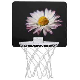 Common Daisy bgcna Mini Basketball Hoop