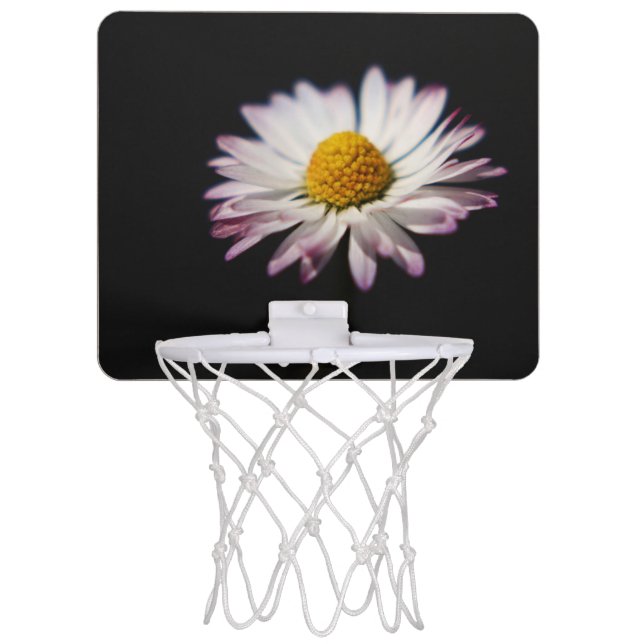Common Daisy bgcnm Mini Basketball Hoop (Front)