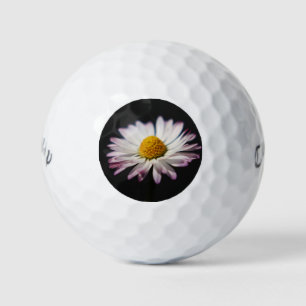 Common Daisy cwb gbcna Golf Balls