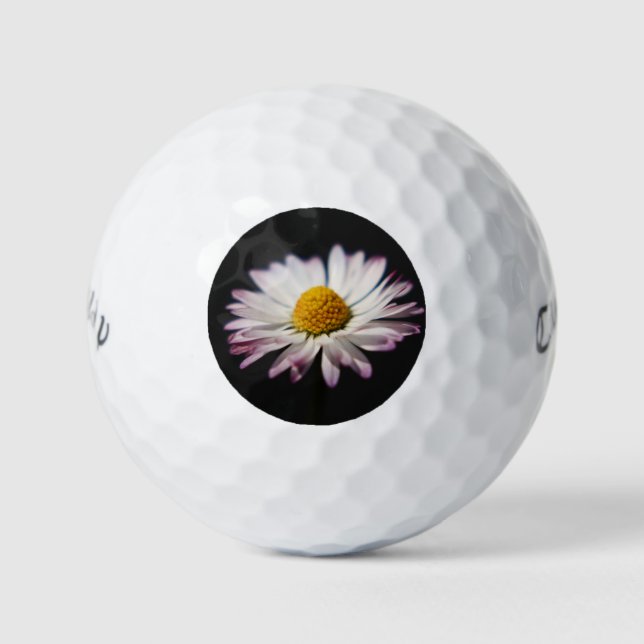 Common Daisy cwb gbcna Golf Balls (Front)