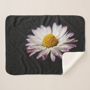 Common Daisy sbcnm Sherpa Blanket
