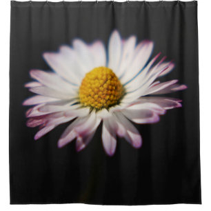 Common Daisy sccna Shower Curtain