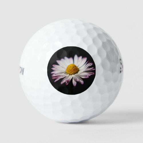 Common Daisy ssf gbcn Golf Balls