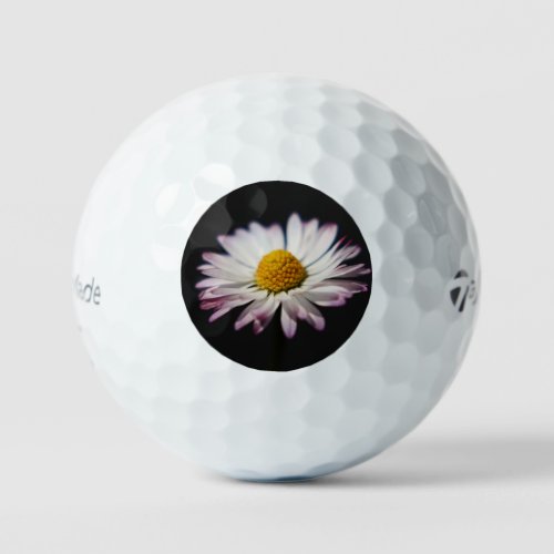Common Daisy tmtp5 gbcn Golf Balls