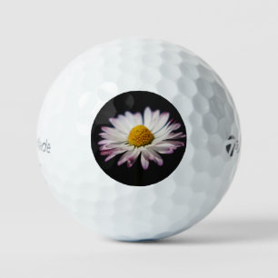 Common Daisy tmtp5 gbcnm Golf Balls