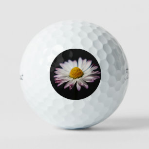 Common Daisy tpv1 gbcnm Golf Balls