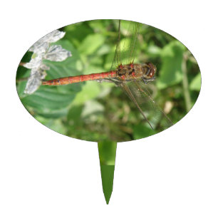 Common Darter Dragonfly Cake Pick