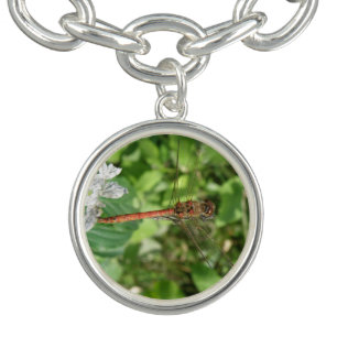 Common Darter Dragonfly Charm Bracelet