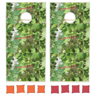 Common darter Dragonfly Cornhole Set