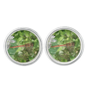 Common Darter Dragonfly Cufflinks
