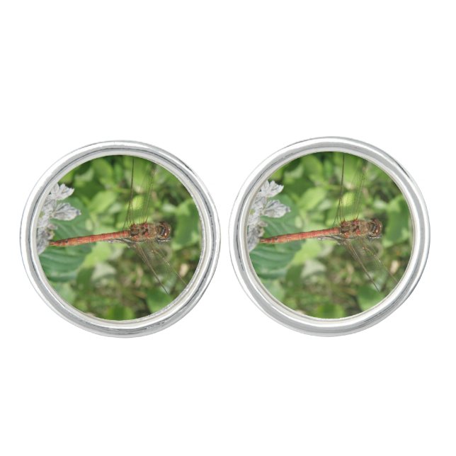Common Darter Dragonfly Cufflinks (Front)