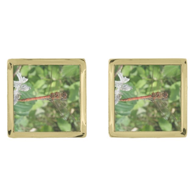 Common Darter Dragonfly Cufflinks (Front)
