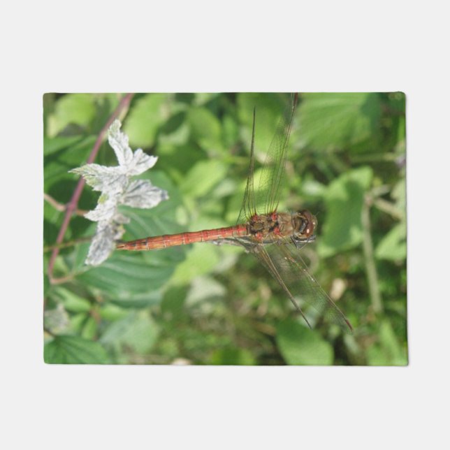 Common Darter Dragonfly Doormat (Front)