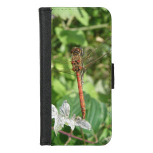 Common Darter Dragonfly iPhone Case