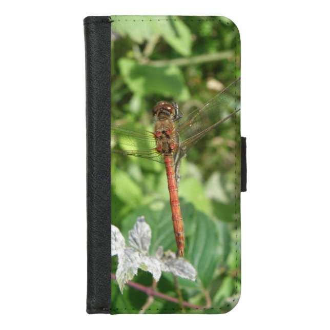 Common Darter Dragonfly iPhone Case (Front)