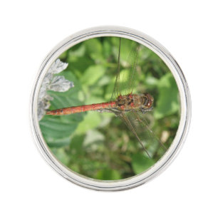 Common Darter Dragonfly Lapel Pin