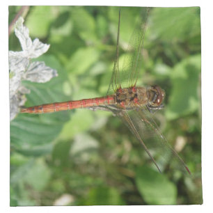 Common Darter Dragonfly Napkin