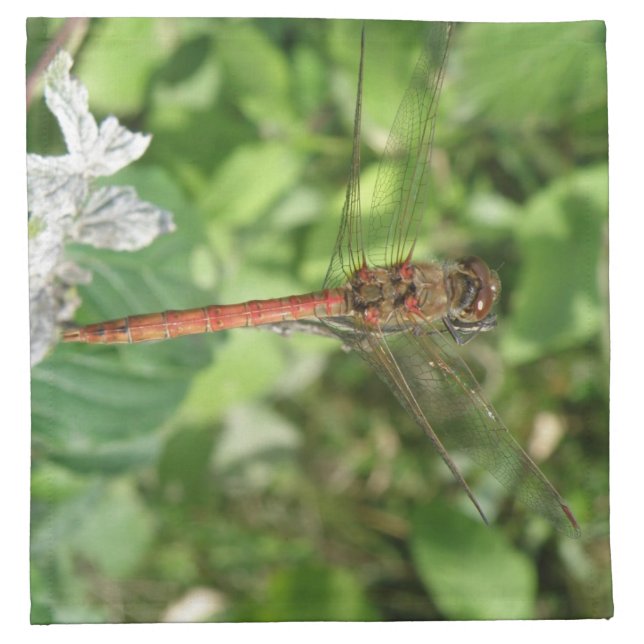 Common Darter Dragonfly Napkin (Front)