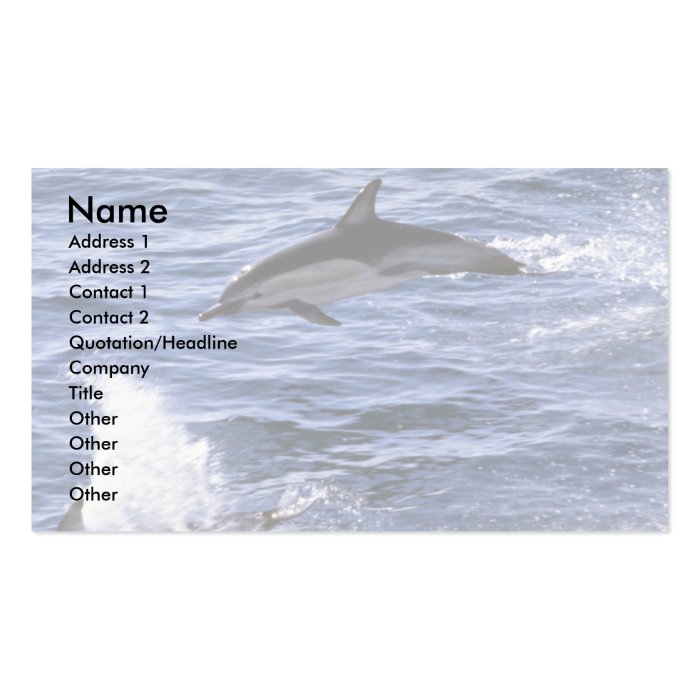 Common dolphin business card template