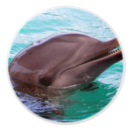Common Dolphin Ceramic Knob