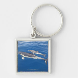 Common Dolphin in the strait Keychain