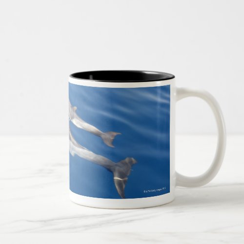 Common Dolphin in the strait Two_Tone Coffee Mug