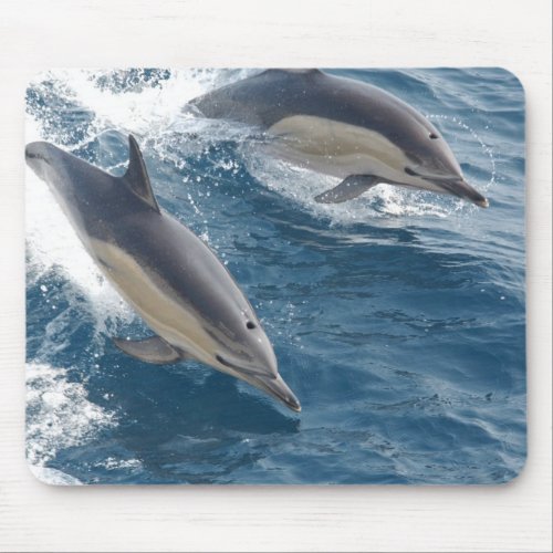 Common Dolphin Mouse Pad