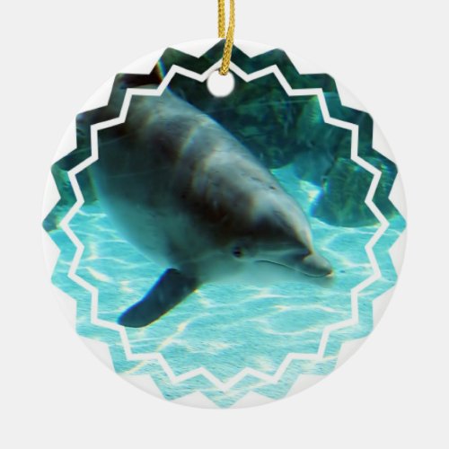 Common Dolphin Ornament