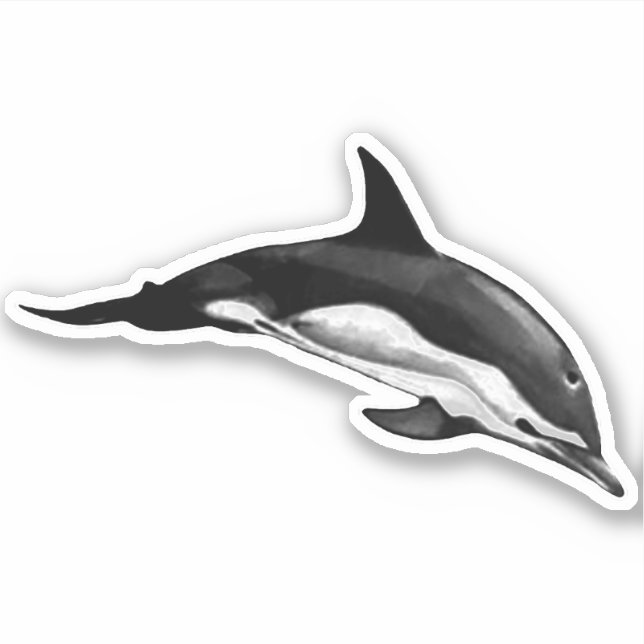 COMMON DOLPHIN STICKER (Front)