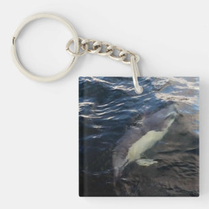 Common Dolphin Swimming Keychain